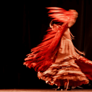 Estúdio Angela Fonseca Flamenco